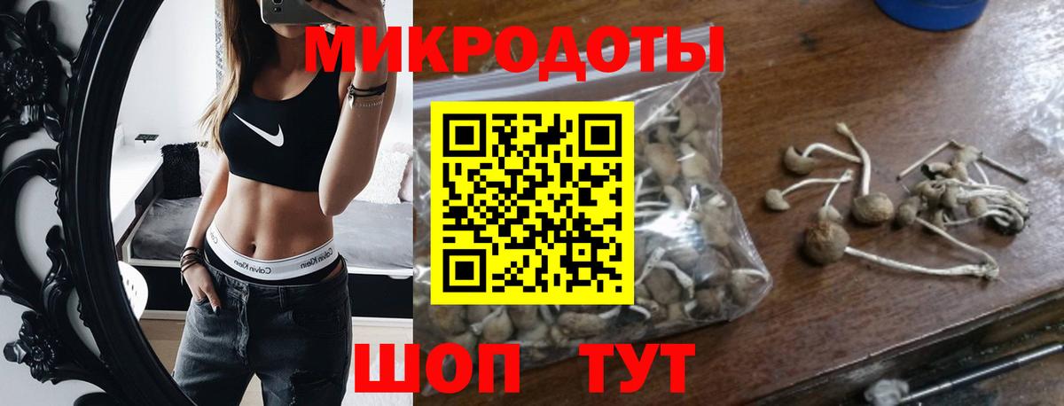 Псилоцибиновые грибы мицелий Десногорск